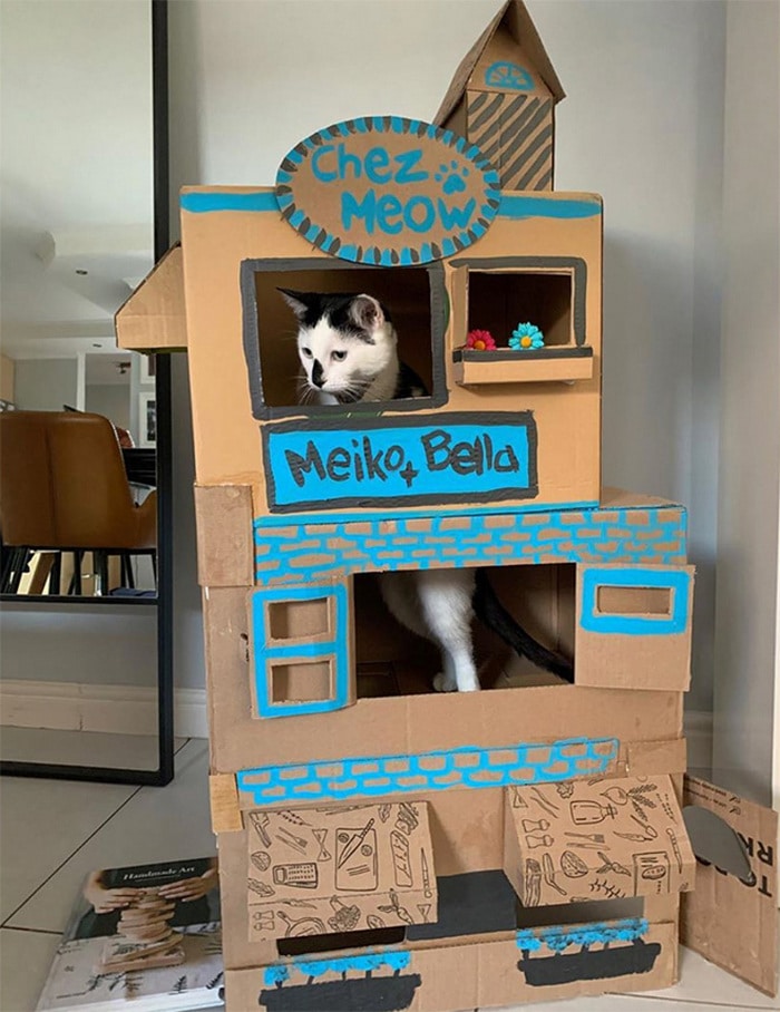 Com tédio na quarentena donos de gatos começaram a construir castelos de papelão 17