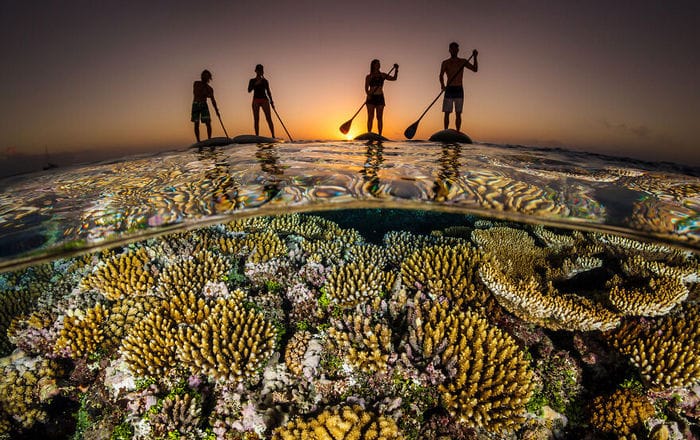 34 fotos incríveis do Ocean Photography Awards 2020 22