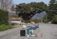 Tom & Jerry acaba de lançar o trailer do filme 37