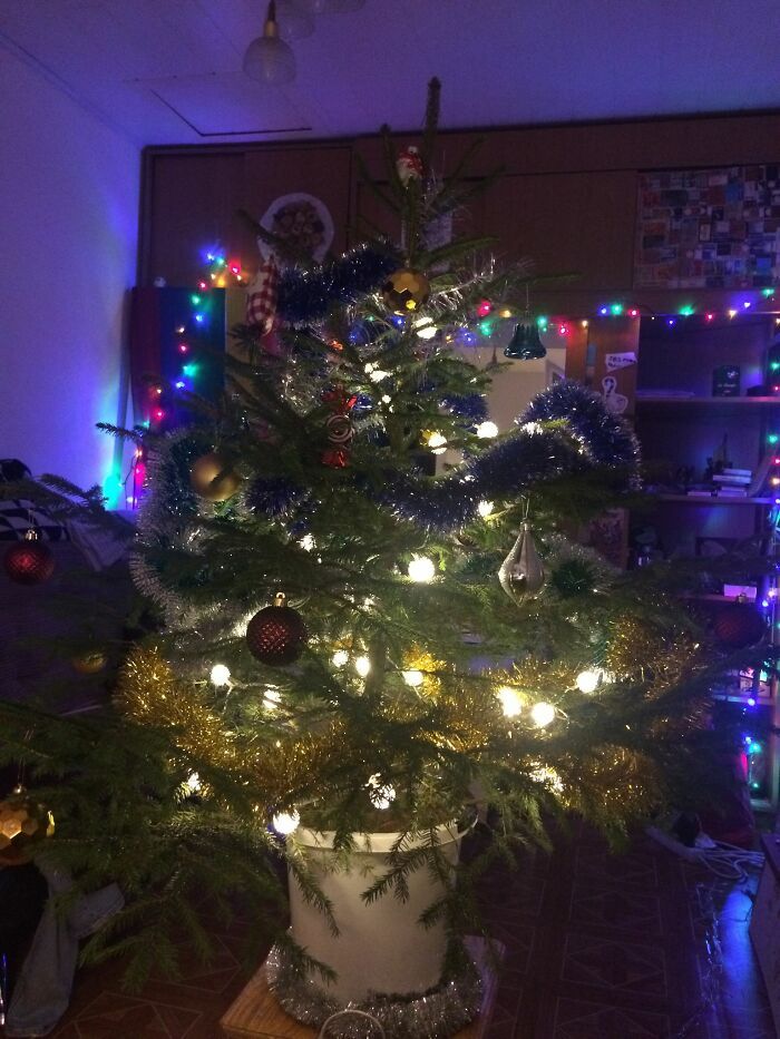 Ei, leitores, compartilhem sua árvore de Natal conosco 3