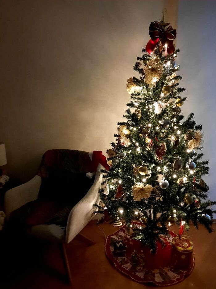 Ei, leitores, compartilhem sua árvore de Natal conosco 8