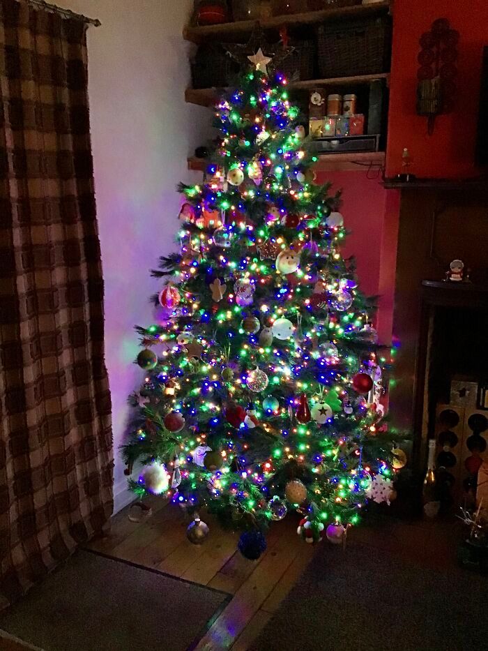 Ei, leitores, compartilhem sua árvore de Natal conosco 20