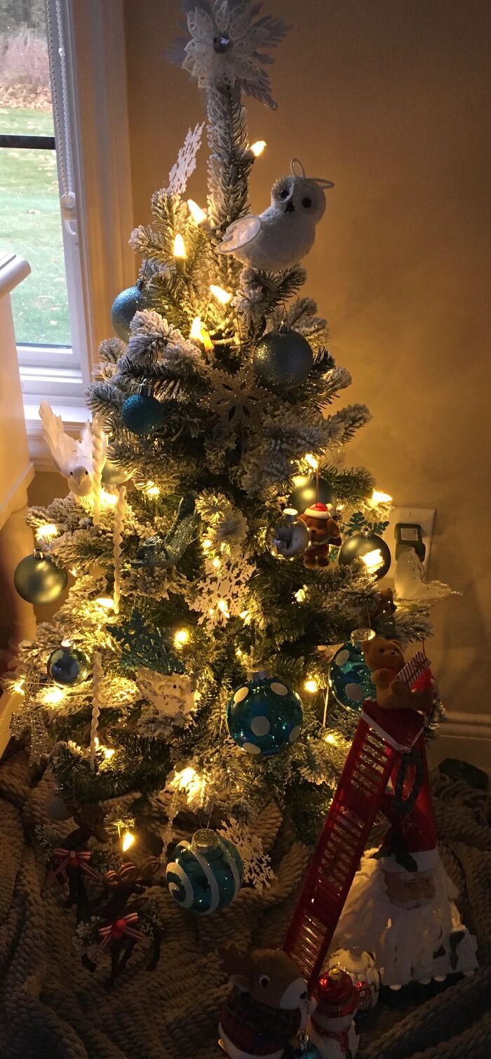 Ei, leitores, compartilhem sua árvore de Natal conosco 22