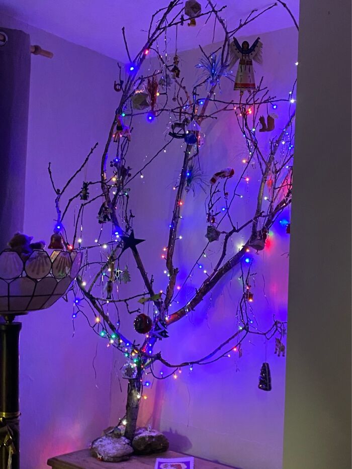 Ei, leitores, compartilhem sua árvore de Natal conosco 27