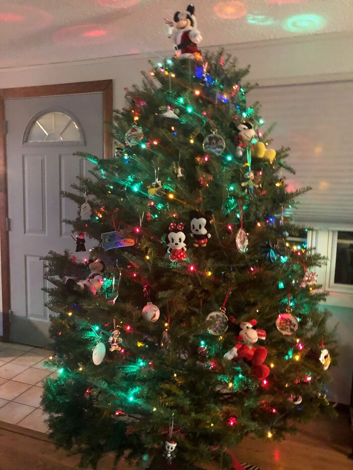 Ei, leitores, compartilhem sua árvore de Natal conosco 31