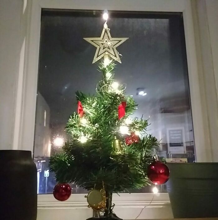 Ei, leitores, compartilhem sua árvore de Natal conosco 36