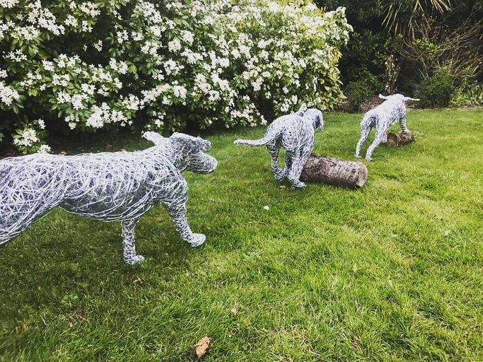 Este artista de Norfolk faz esculturas de animais incríveis com arame 18