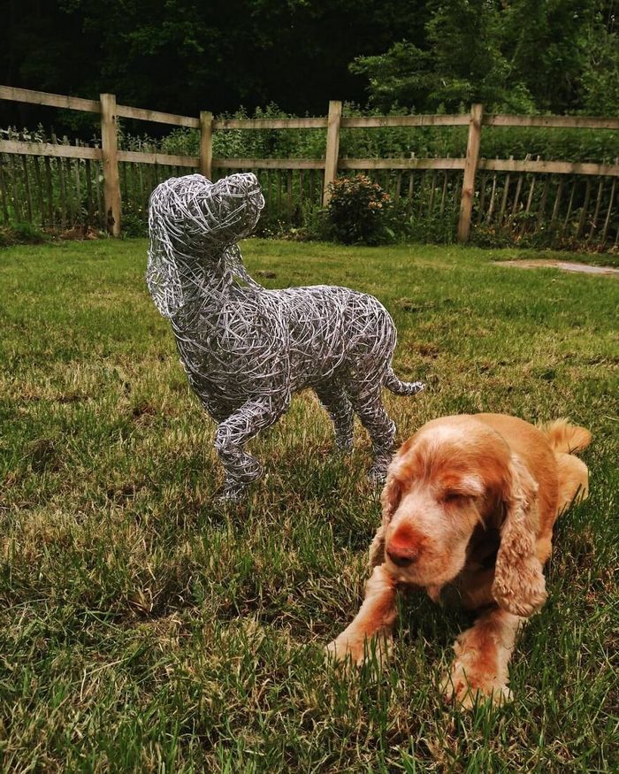 Este artista de Norfolk faz esculturas de animais incríveis com arame 20