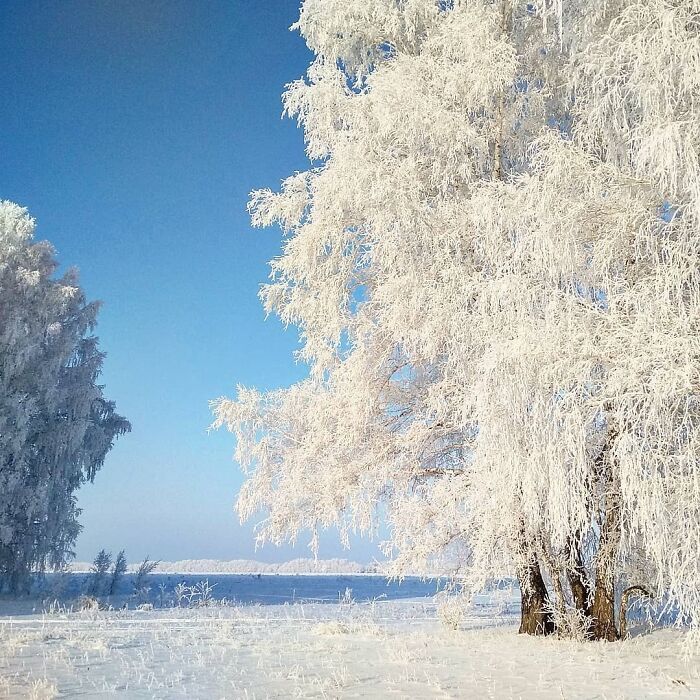 30 fotos que mostram o quão insuportável está o frio na Rússia agora 8