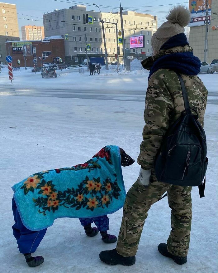 30 fotos que mostram o quão insuportável está o frio na Rússia agora 10