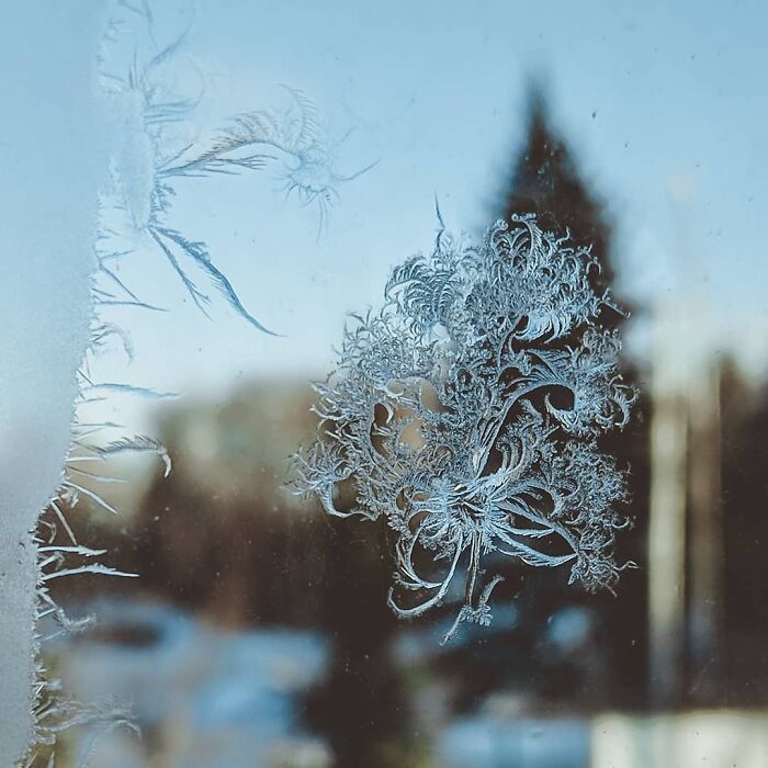 30 fotos que mostram o quão insuportável está o frio na Rússia agora 16