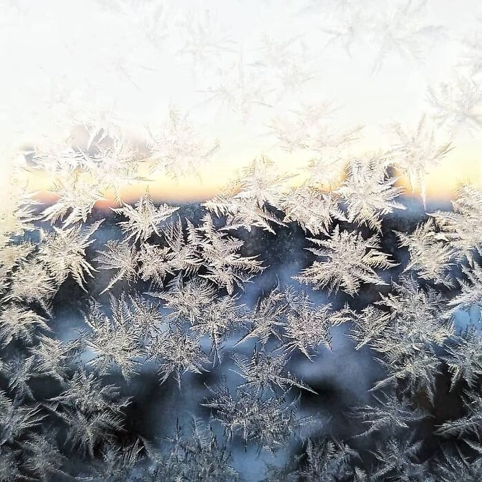 30 fotos que mostram o quão insuportável está o frio na Rússia agora 20