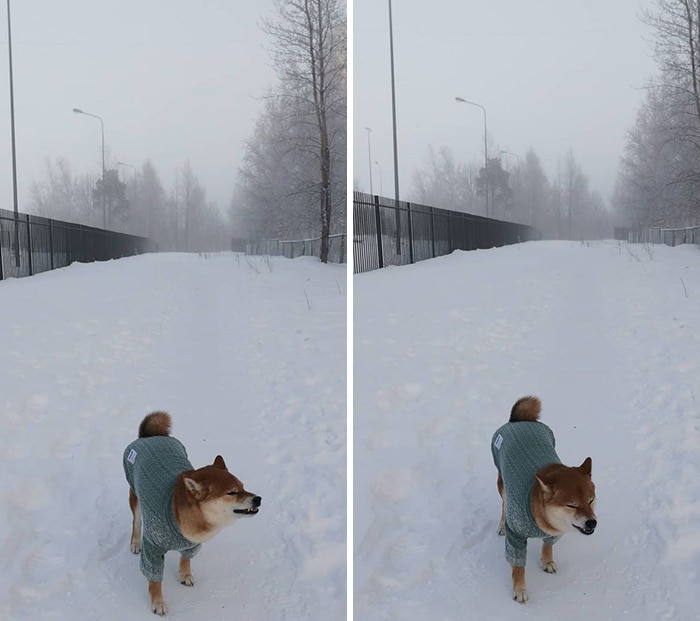 30 fotos que mostram o quão insuportável está o frio na Rússia agora 25