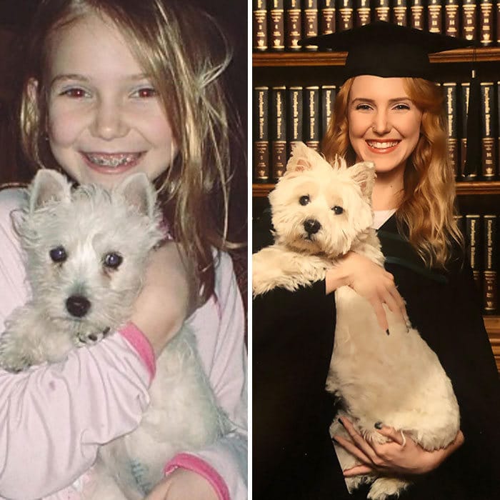 40 adoráveis ​​cães antes e depois de crescer 38