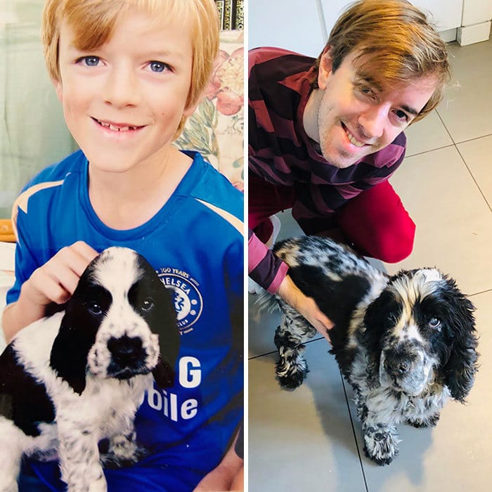 40 adoráveis ​​cães antes e depois de crescer 39