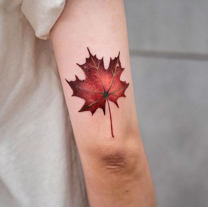Artista faz tatuagens de tirar o fôlego que parecem ter saído de um conto de fadas 30