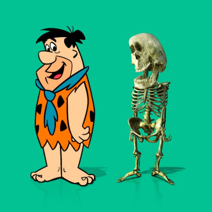 Como seriam os esqueletos de personagens de desenho animados, e isso pode te assustar 6