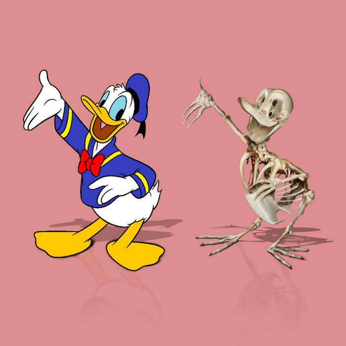 Como seriam os esqueletos de personagens de desenho animados, e isso pode te assustar 10
