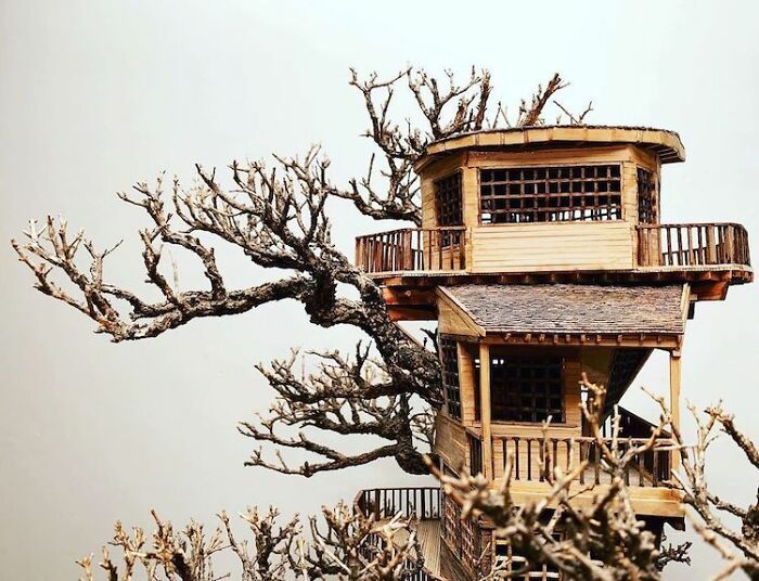 24 fantásticas casas na árvore de bonsai 22