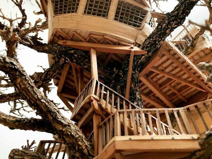 24 fantásticas casas na árvore de bonsai 24