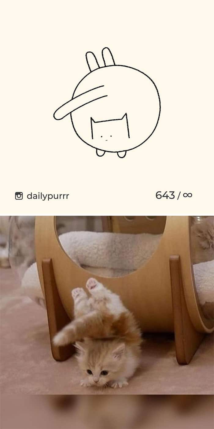Aqui estão meus 40 novos desenhos de gatos bobos para fazer você rir 6