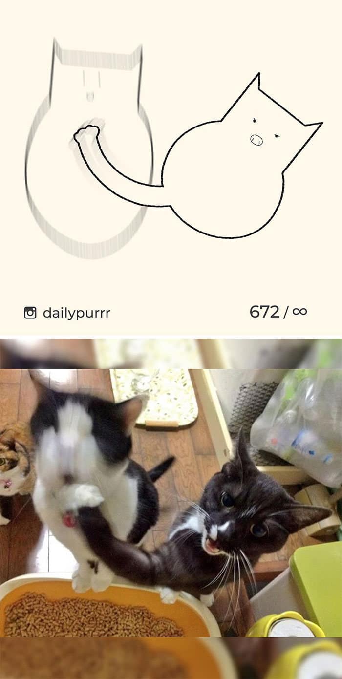 Aqui estão meus 40 novos desenhos de gatos bobos para fazer você rir 13