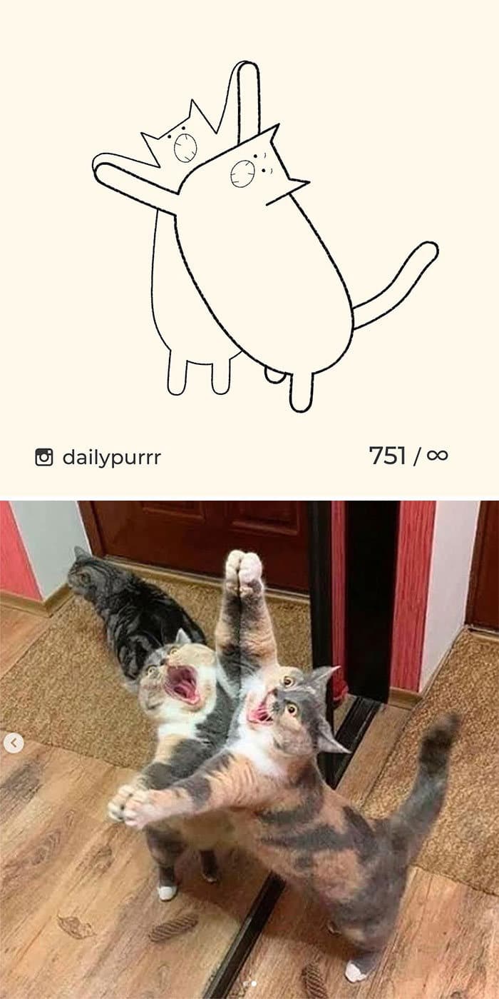 Aqui estão meus 40 novos desenhos de gatos bobos para fazer você rir 20