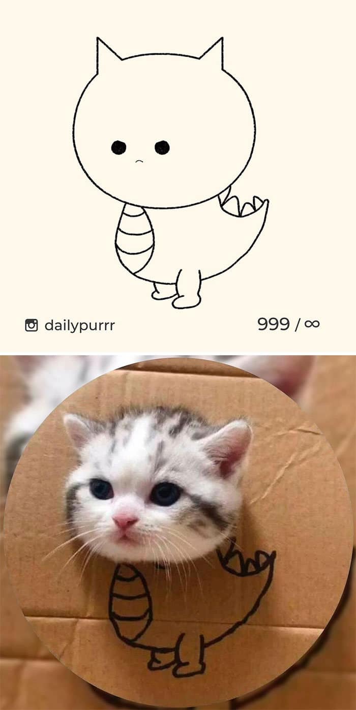 Aqui estão meus 40 novos desenhos de gatos bobos para fazer você rir 27