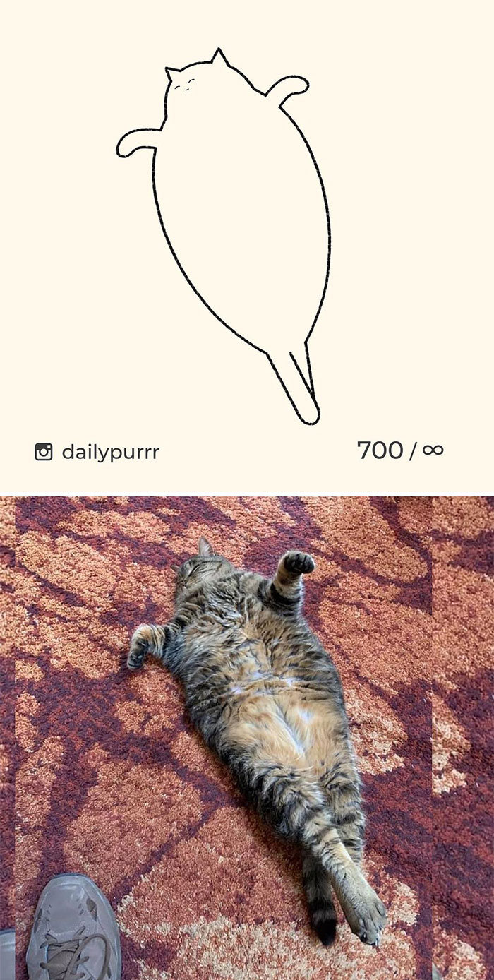 Aqui estão meus 40 novos desenhos de gatos bobos para fazer você rir 32