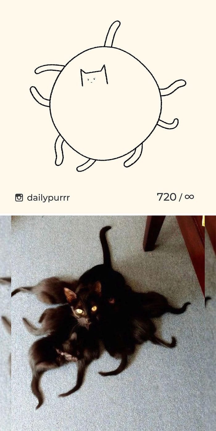 Aqui estão meus 40 novos desenhos de gatos bobos para fazer você rir 33