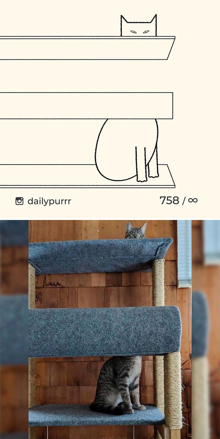 Aqui estão meus 40 novos desenhos de gatos bobos para fazer você rir 35