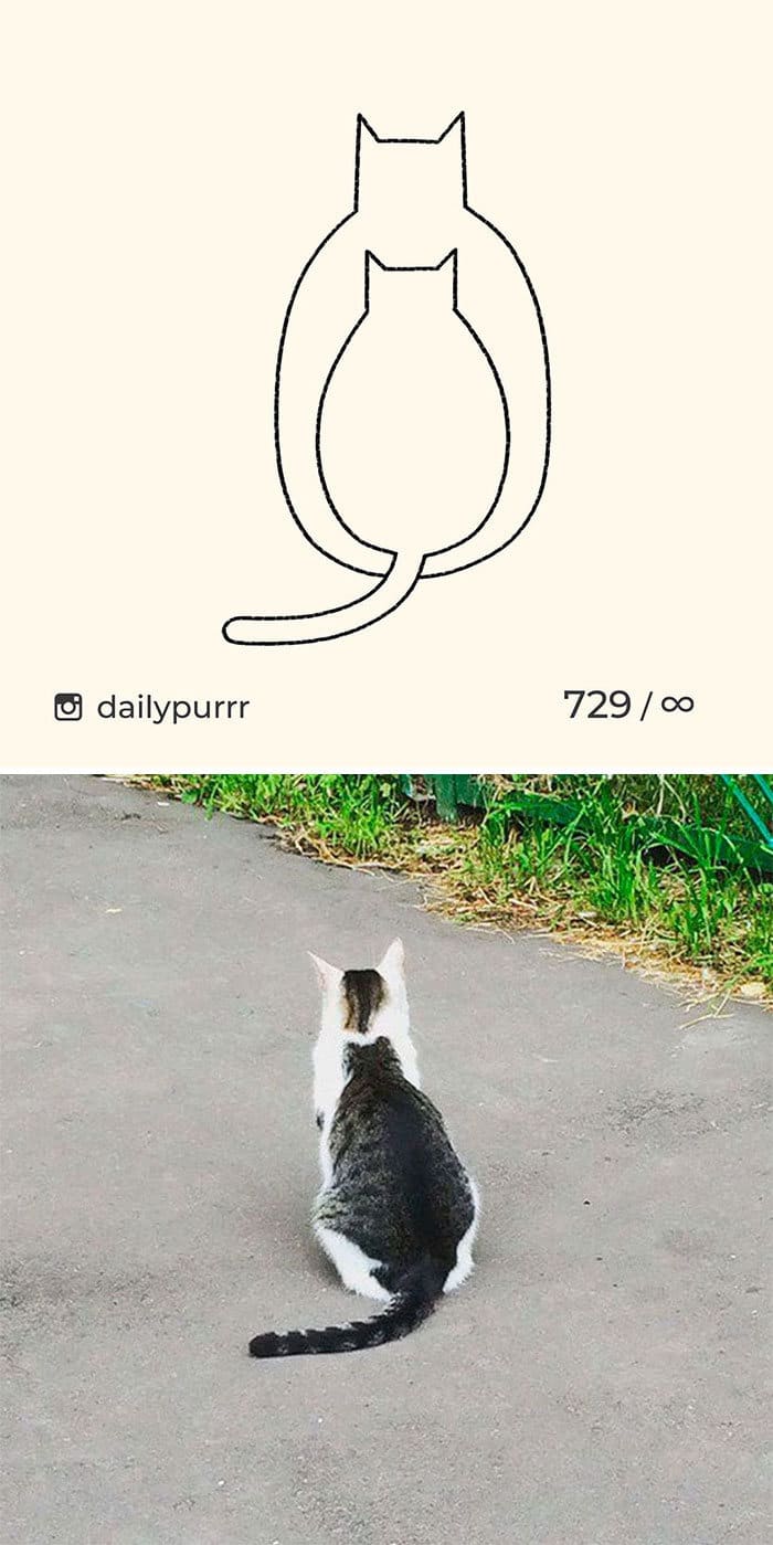 Aqui estão meus 40 novos desenhos de gatos bobos para fazer você rir 37