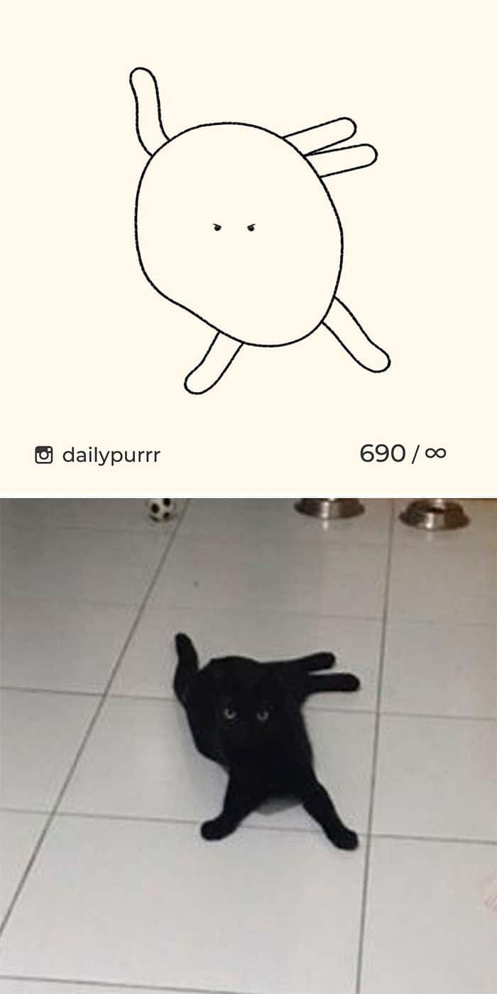 Aqui estão meus 40 novos desenhos de gatos bobos para fazer você rir 38