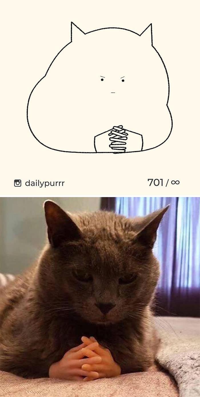 Aqui estão meus 40 novos desenhos de gatos bobos para fazer você rir 39