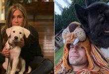 38 celebridades que são verdadeiros amantes de cães 12