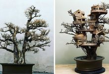 24 fantásticas casas na árvore de bonsai 7
