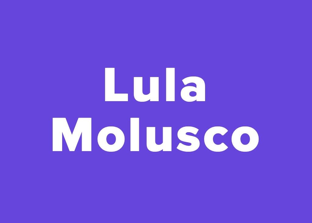Quem disse isso, Lula ou Lula Molusco? 15