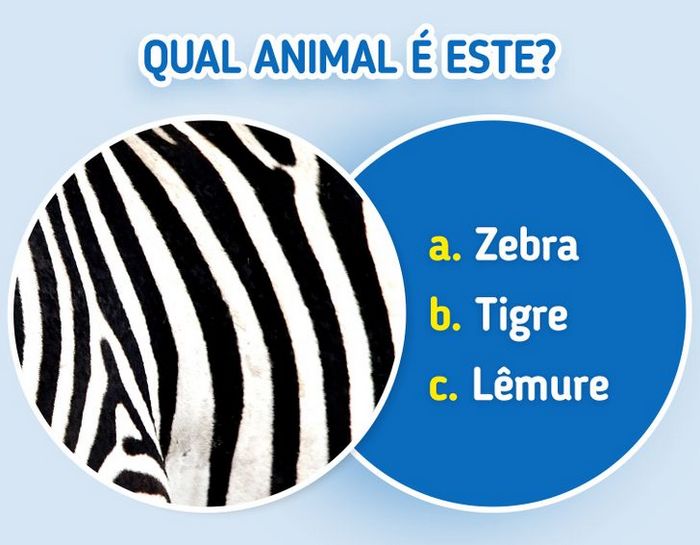 Quiz: Descubra o animal olhando apenas para algumas manchas 3