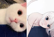Artista japonês transforma 6 gatos em adoráveis ​​garotas de anime 7