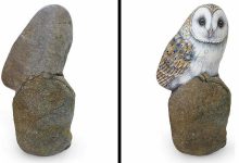 Artista transforma pedras em pinturas incríveis de animais (30 fotos) 20