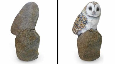 Artista transforma pedras em pinturas incríveis de animais (30 fotos) 2