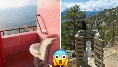 17 banheiros que dão a chance de admirar a paisagem 5