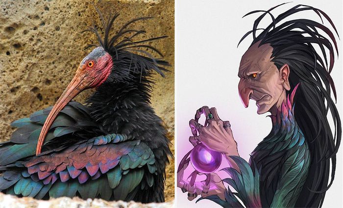 Este artista usa animais como inspiração para criar personagens originais de anime (23 fotos) 3