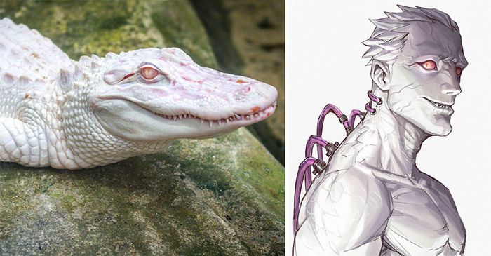 Este artista usa animais como inspiração para criar personagens originais de anime (23 fotos) 5