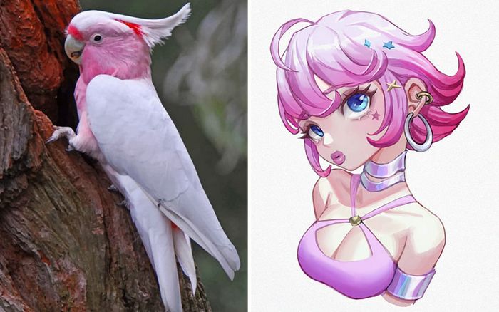 Este artista usa animais como inspiração para criar personagens originais de anime (23 fotos) 15