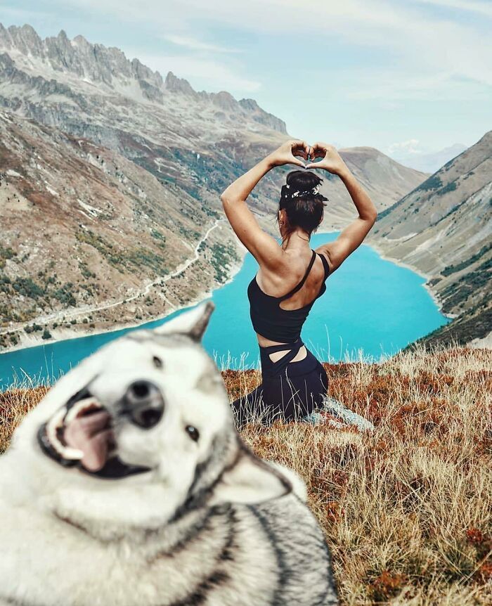 57 fotos hilárias de cachorro para colocar um sorriso em seu rosto 46