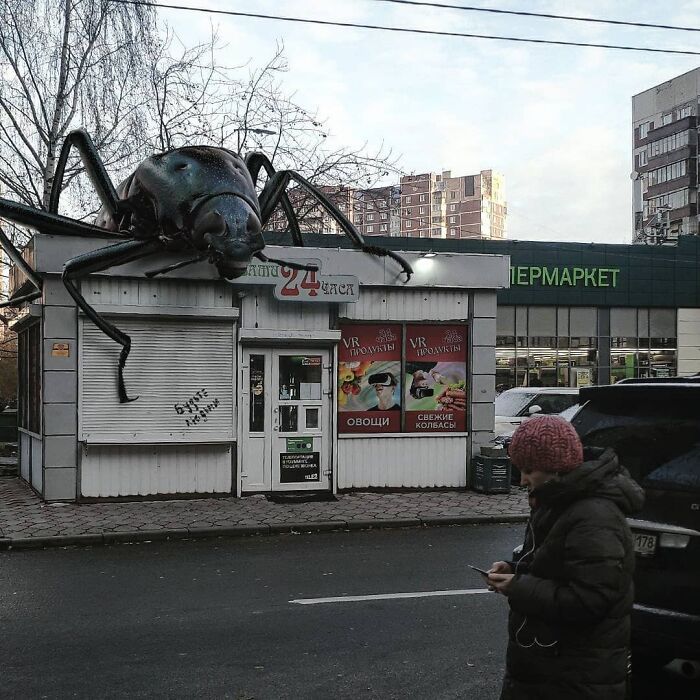 30 montagem de fotos inesperadas com animais gigantes por Vadim Solovyev 22