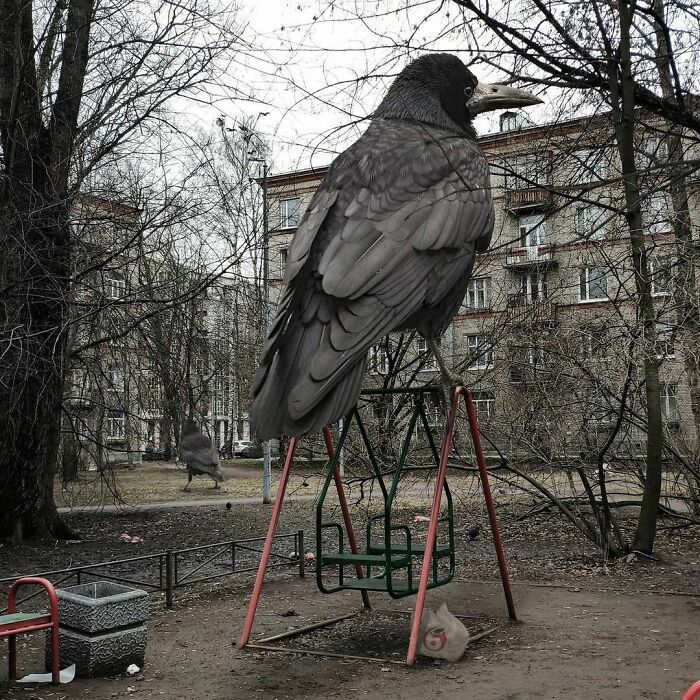 30 montagem de fotos inesperadas com animais gigantes por Vadim Solovyev 27