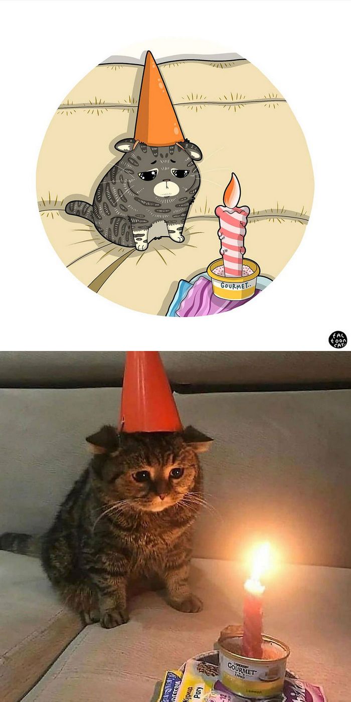 Artista transforma fotos engraçadas de gatos em ilustrações (35 fotos) 7
