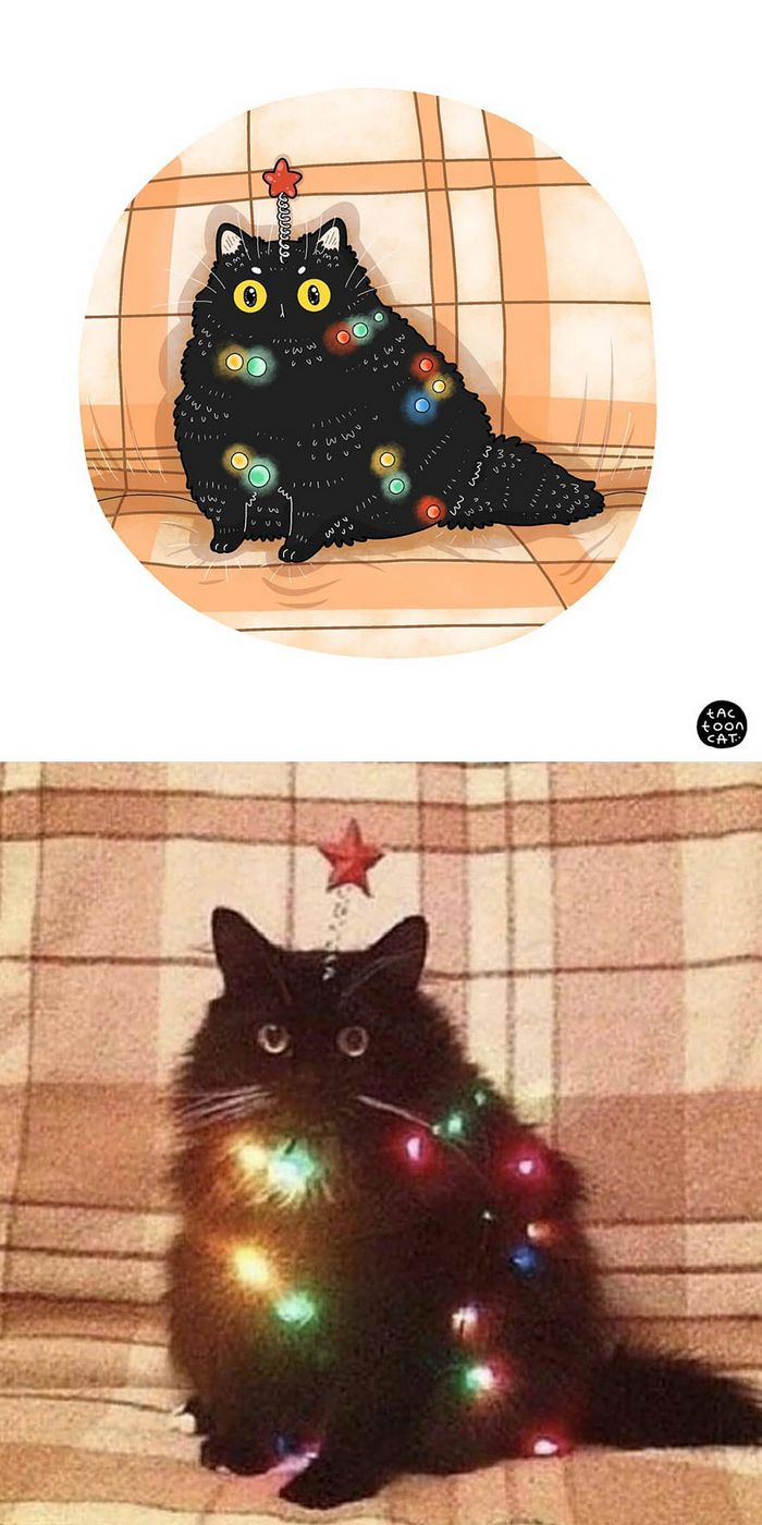 Artista transforma fotos engraçadas de gatos em ilustrações (35 fotos) 8
